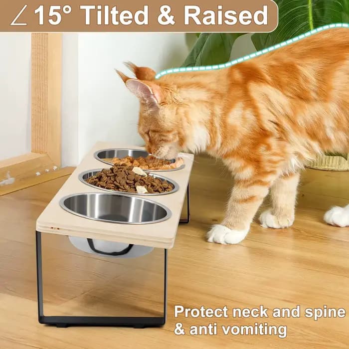 Bols surélevés pour chat avec 3