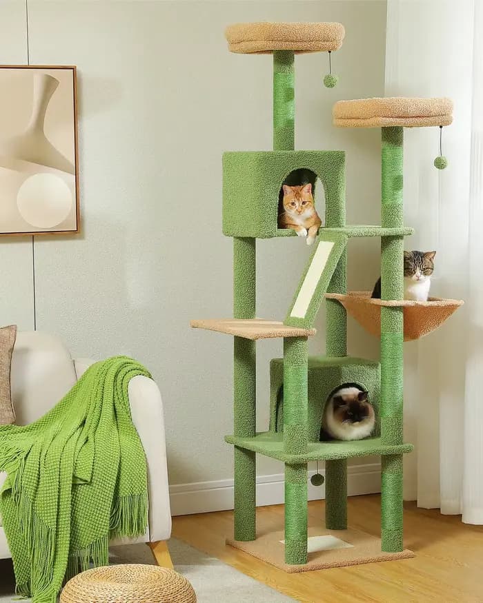 Grand arbre à chat pour intérieur