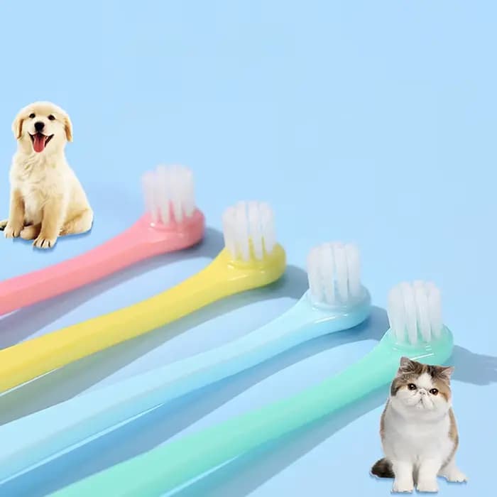Brosse à dents pour chien