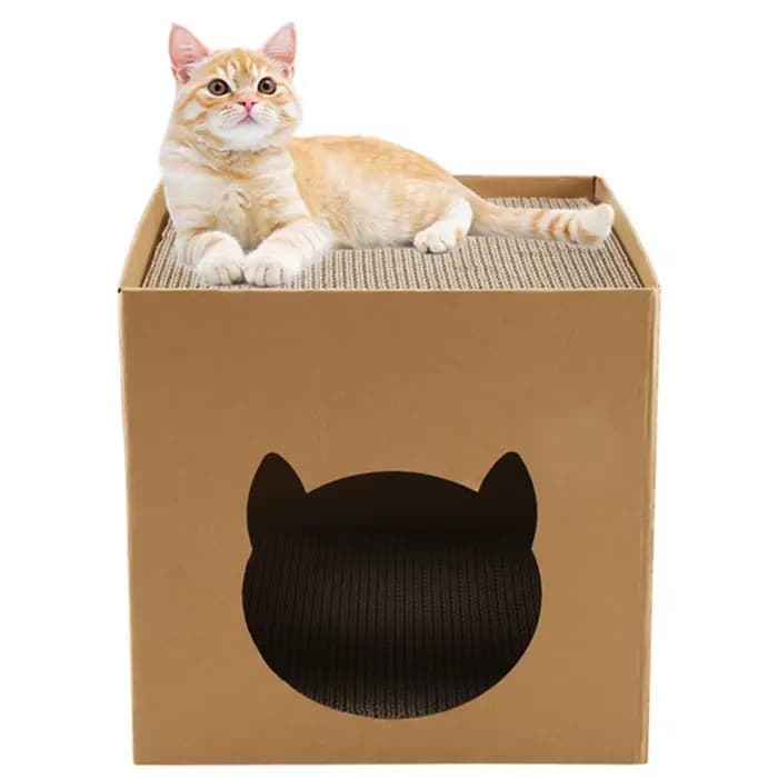 Maison en carton SOFT-Cat avec tampons à gratter