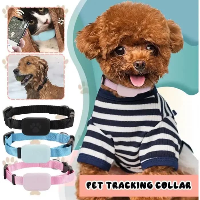 Collier de suivi GPS intelligent pour animaux de compagnie