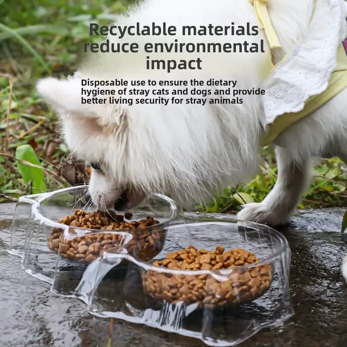 Bol jetable pour chat, bol anti-fourmis pour animaux de compagnie