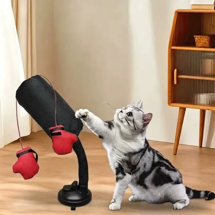 Sac de frappe pour chat de compagnie en forme de dessin animé avec gants de boxe et ventouse