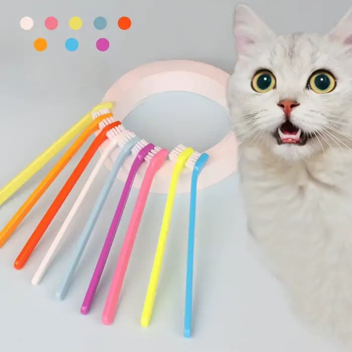 Brosse à dents pour chien et chat