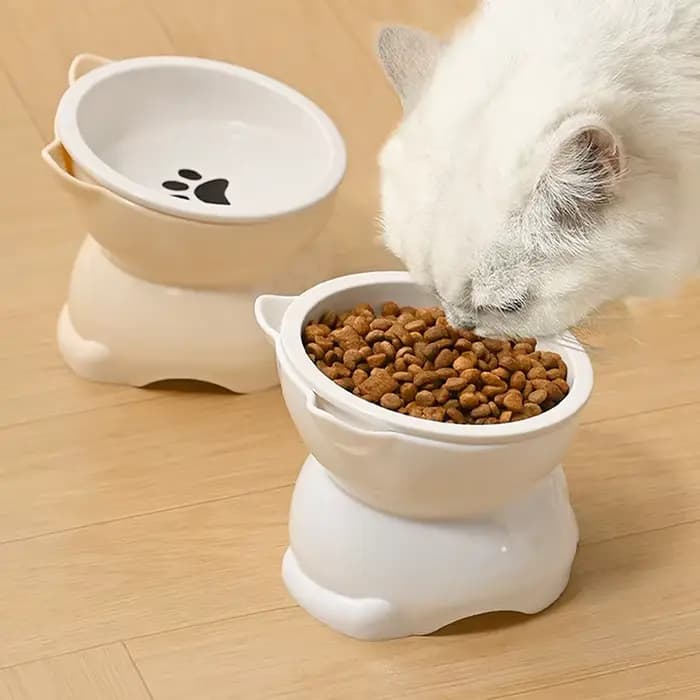 Bol en céramique pour chat