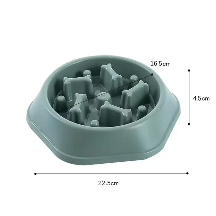 Bol de nourriture lente pour chien et chat