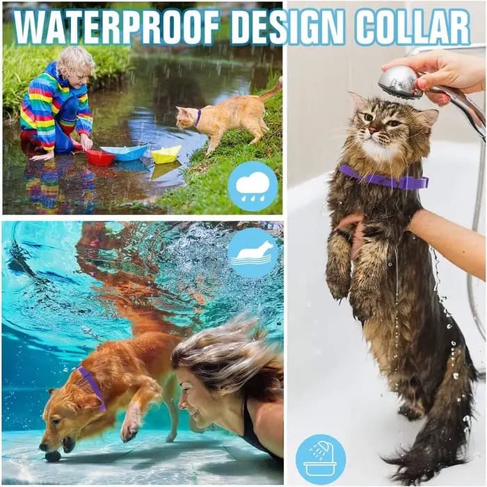 Collier apaisant imperméable et apaisant pour chien et chat