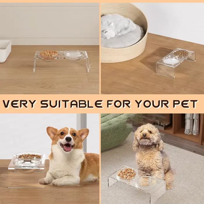 Support de gamelle pour animaux de compagnie