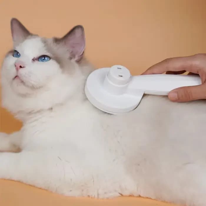 Brosse de nettoyage des poils de chat