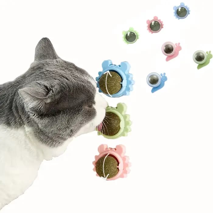 Tirets pour animaux de compagnie chat sain herbe-aux-chats jouets balle