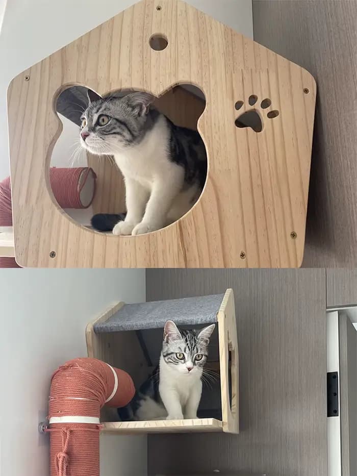 Maison d'escalade murale pour chat, étagère, lit, tour d'arbre murale, maison cachée, château de Villa pour chats d'intérieur, accessoires de couchage