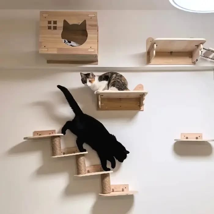 Tour d'arbre à chat en bois