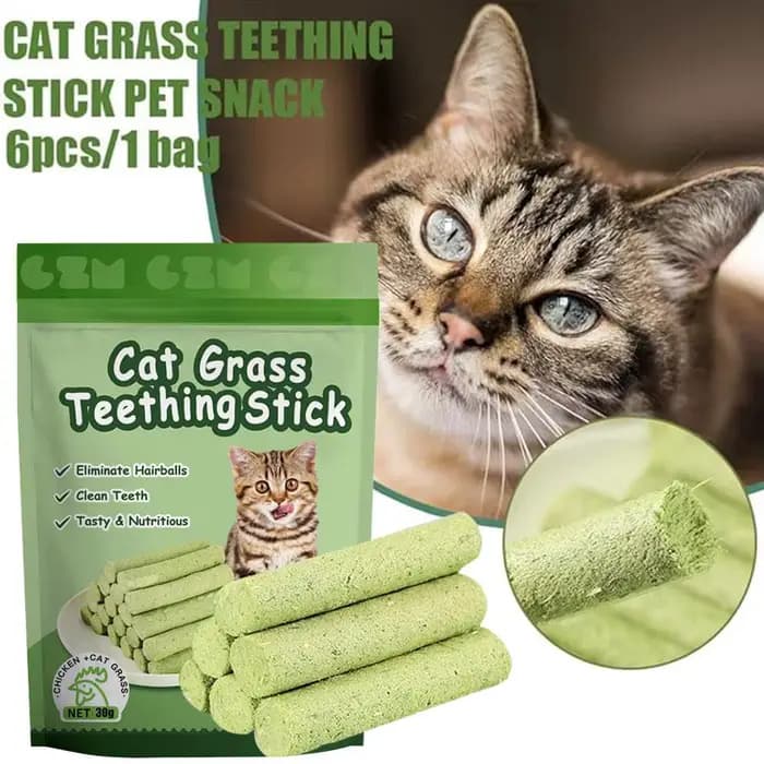 Bâton de meulage des dents d'herbe de chat