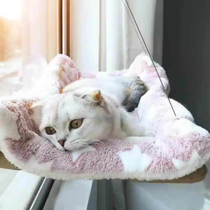 Hamac suspendu avec fenêtre pour chat