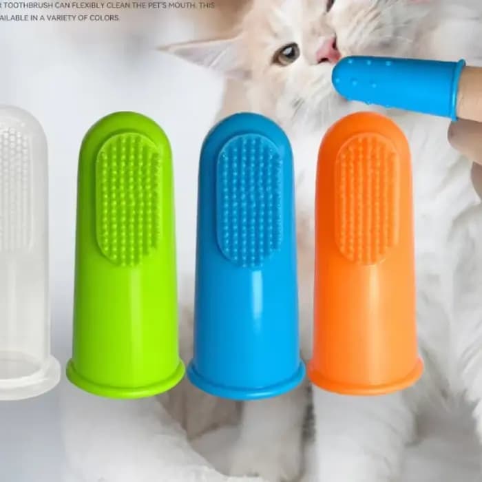 Brosses à dents pour chien et chat