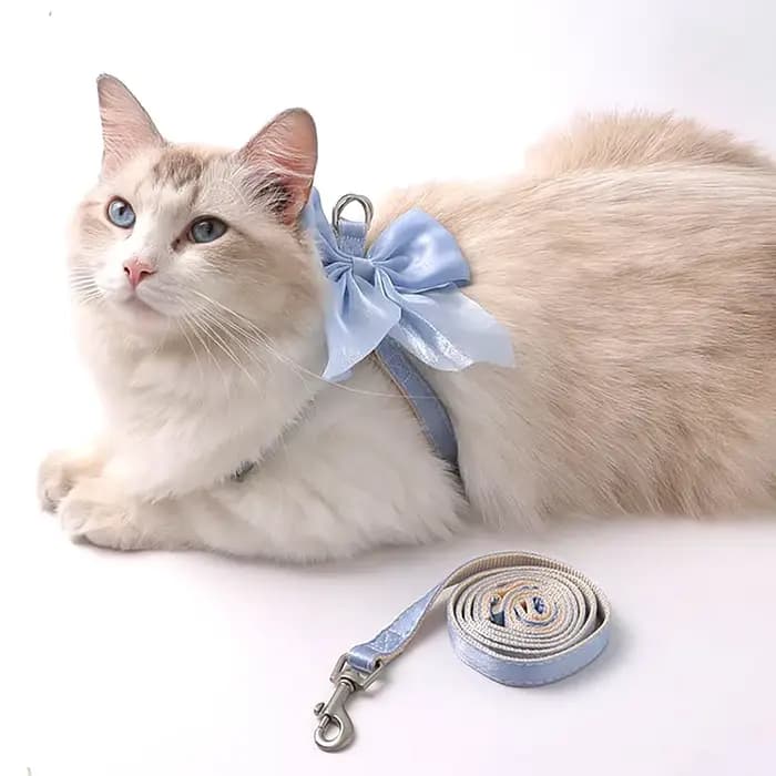 Harnais réglable pour animaux de compagnie avec corde de Traction pour chaton chiot lapin furet mignon chat
