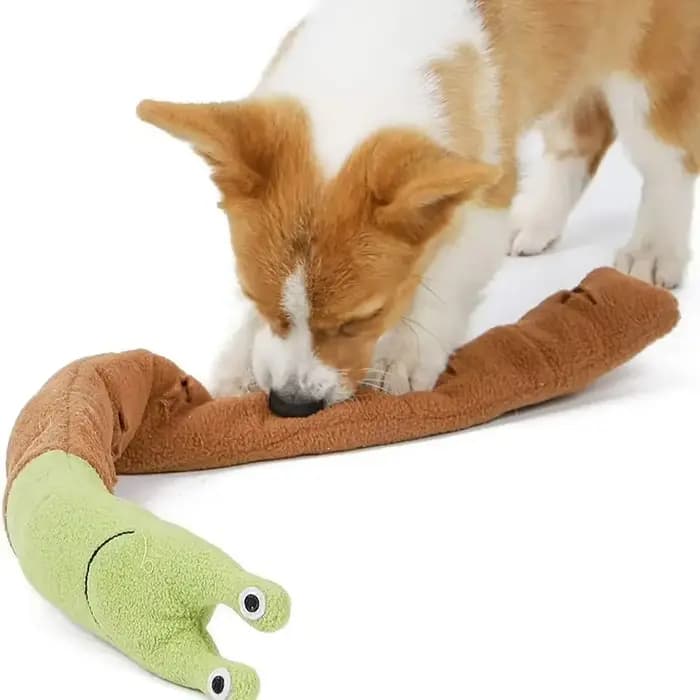 Jouets interactifs pour chiens et chats
