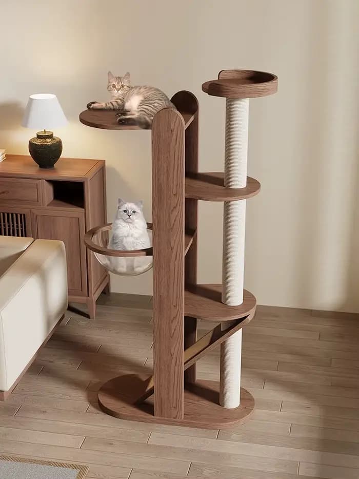 Cadre d'escalade pour chat