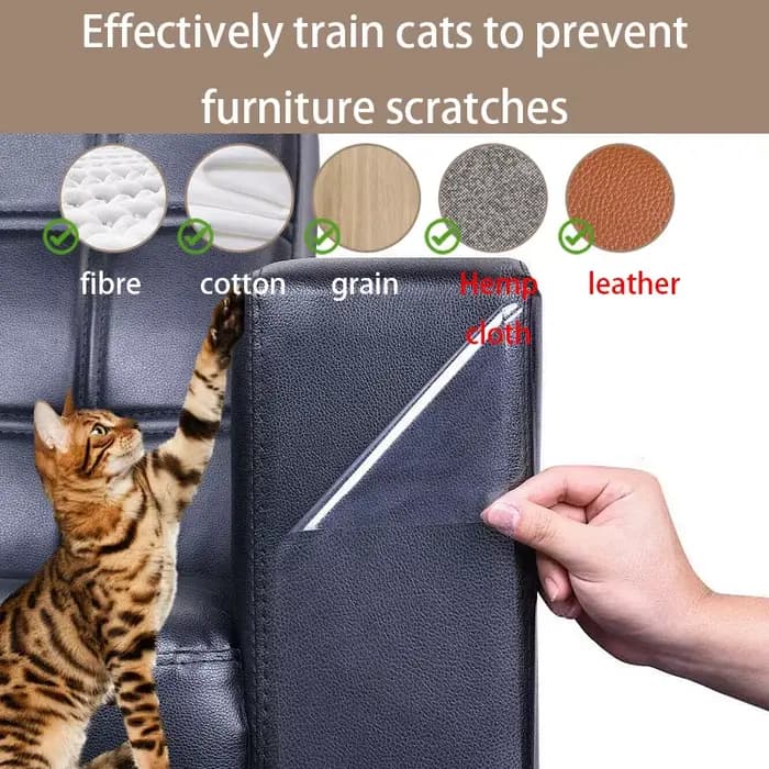 Accessoires pour chats