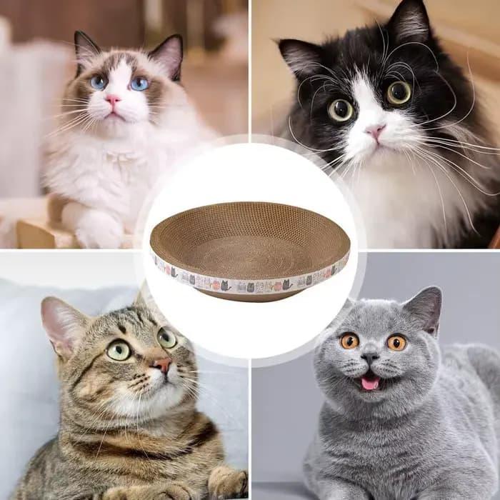 Griffoir pour chat en forme de bol