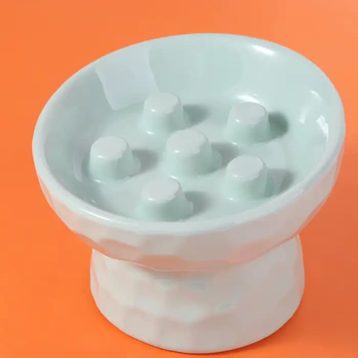 Bol d'alimentation lente en céramique pour chat