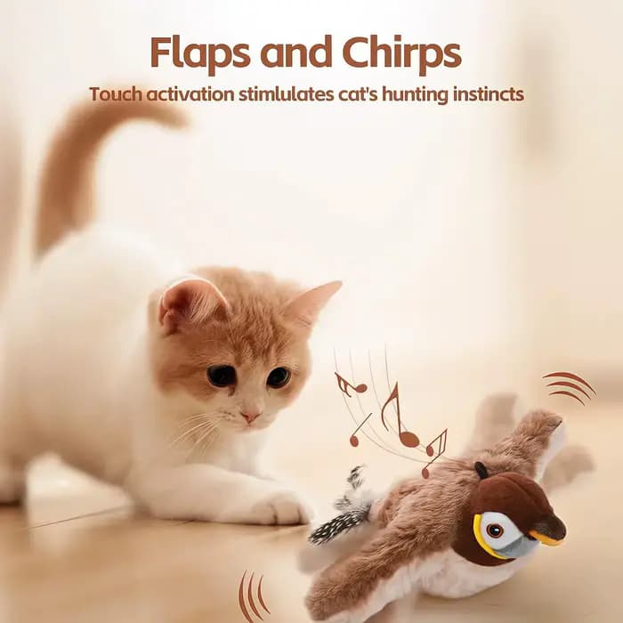 Jouet coule oiseau volant pour chat