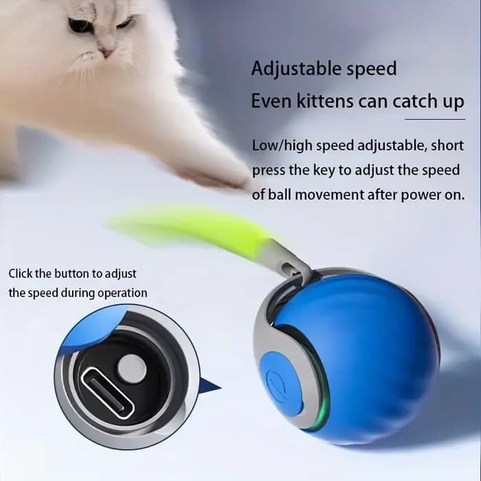 Jouets intelligents pour chat