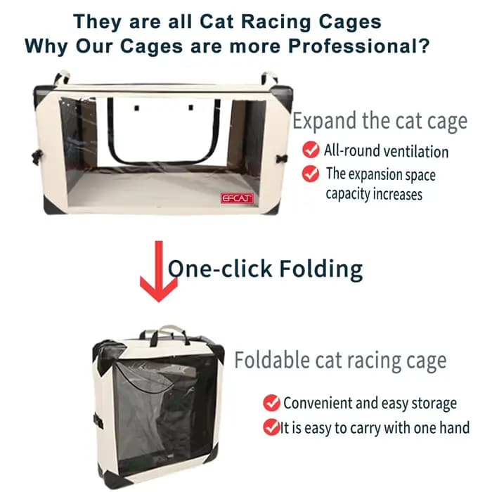 Grande cage d'exposition de chat pour montrer