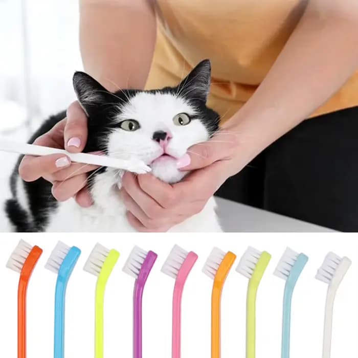 Brosse à dents pour chien et chat