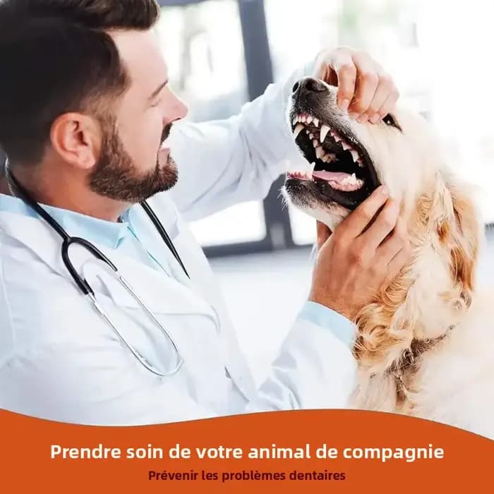 Brosse de nettoyage pour dents de chat et chien