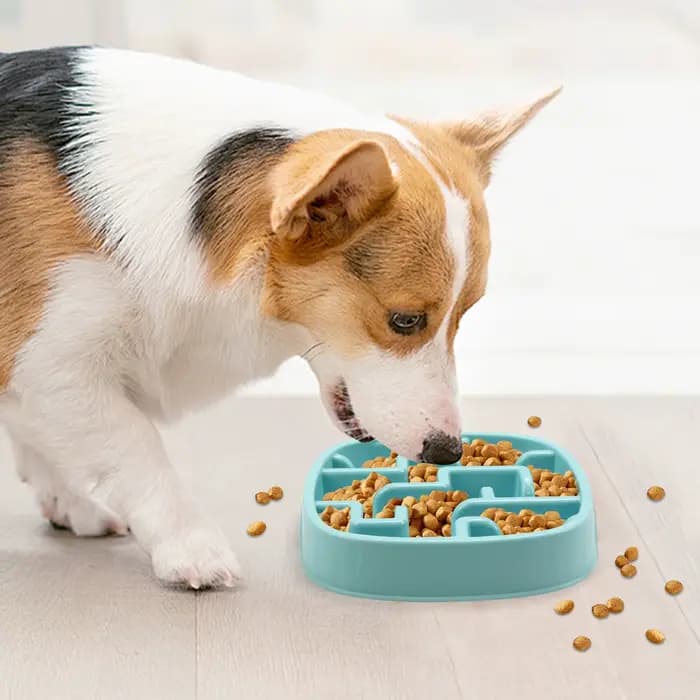 Bol de nourriture pour animaux de compagnie à alimentation lente, anti-étouffement, antidérapant, pour chiens et chats, empêchant les glaçons, assurant une alimentation saine pour les animaux de compa