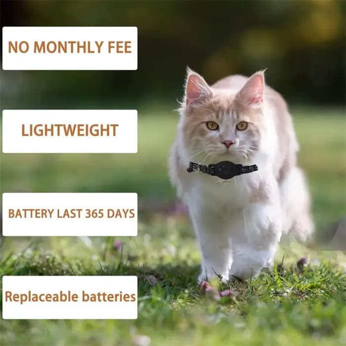 Collier de suivi GPS pour animaux de compagnie
