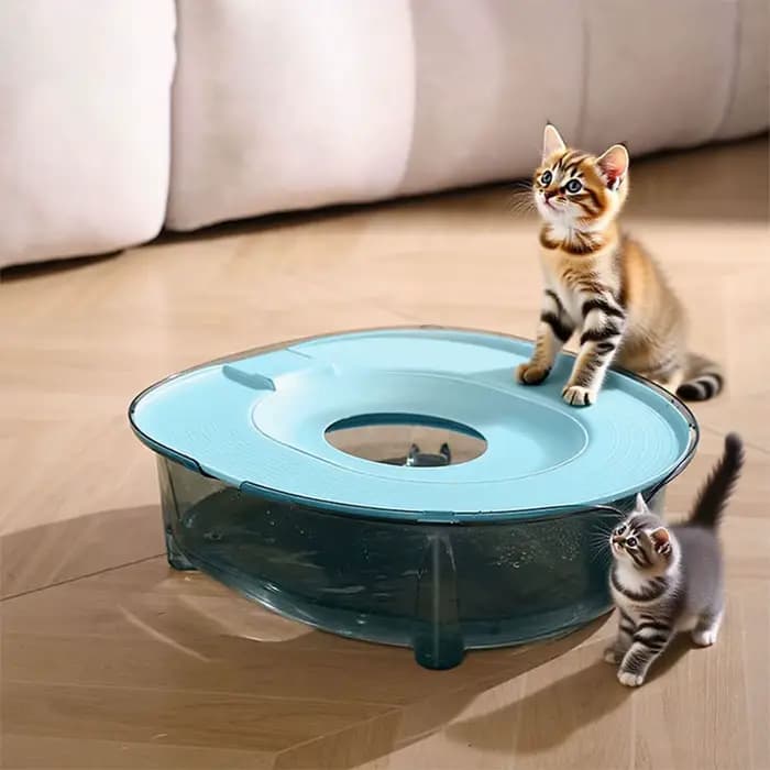 Kit d'entraînement à la propreté pour chat