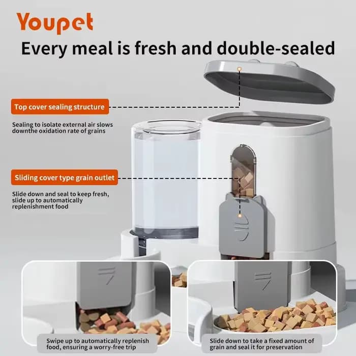 Bol pour chat mangeoire automatique avec conception anti-déversement avec fontaine d'eau distributeur de nourriture