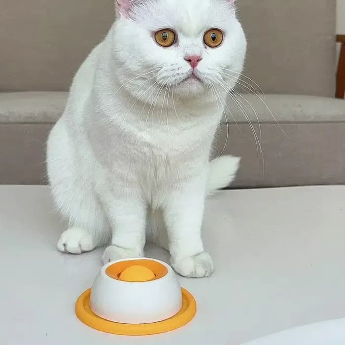 Gamelle Anti-Glouton pour chats et chiens