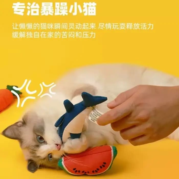 Jouet durable pour chat AFP : Poupée en forme de carotte et de poisson, simulation réaliste, sac de catnip pour l'auto-entretenement des chatons, à mâcher, fournitures pour chats