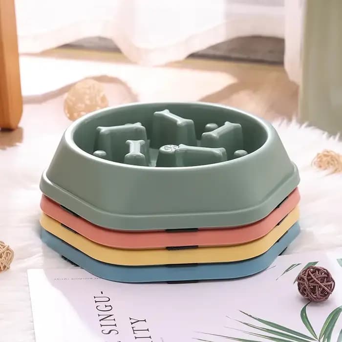 Bol de nourriture lente pour chien et chat
