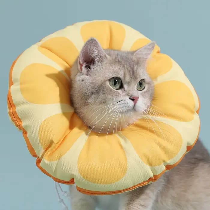 HOOPET – collier élisabéthain pour chat