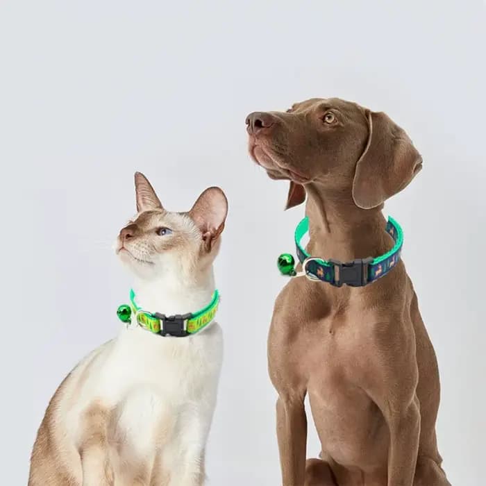 Avec cloche collier de chat de noël polypropylène motif flocon de neige/élan cerf collier de noël pour animaux de compagnie réglable blanc/vert/rouge