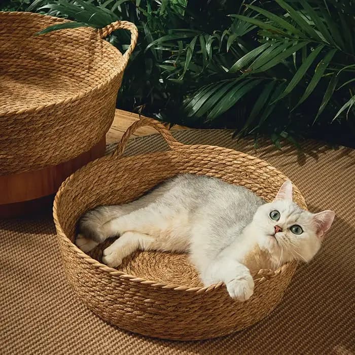 Panier en rotin tressé pour chat