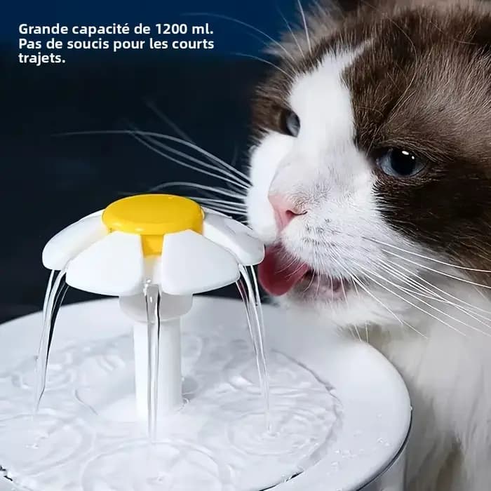 Fontaine à eau pour chat