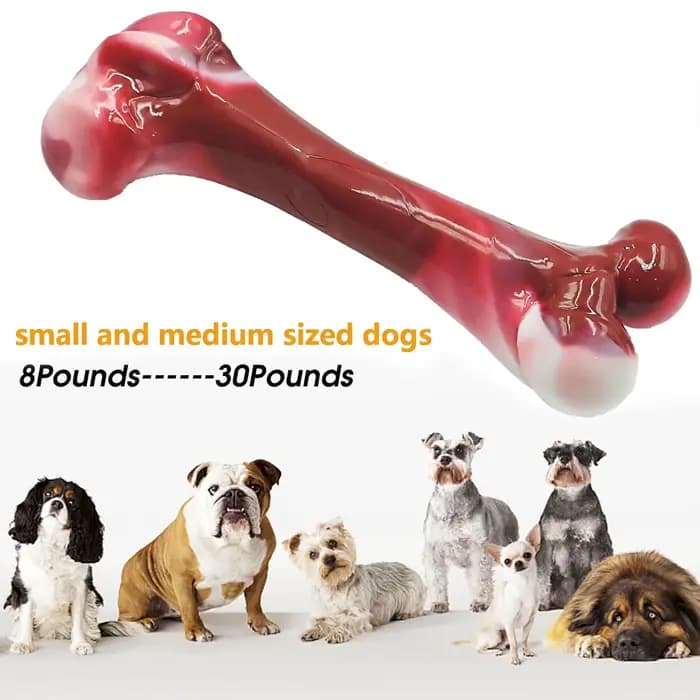 Os de chien au saveur de bacon