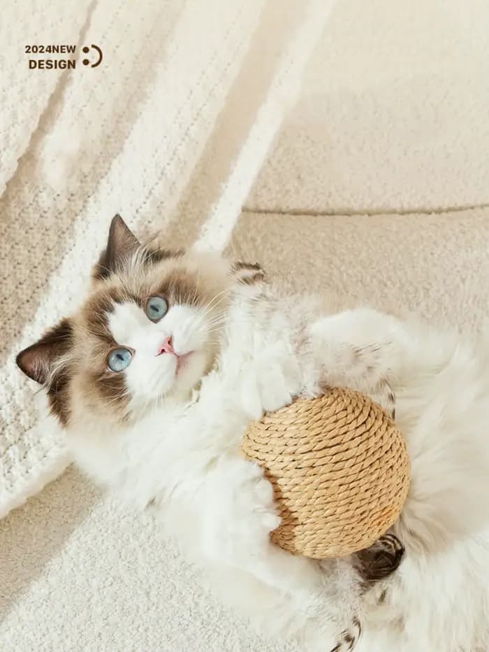 Balle à gratter interactive en Sisal pour chat
