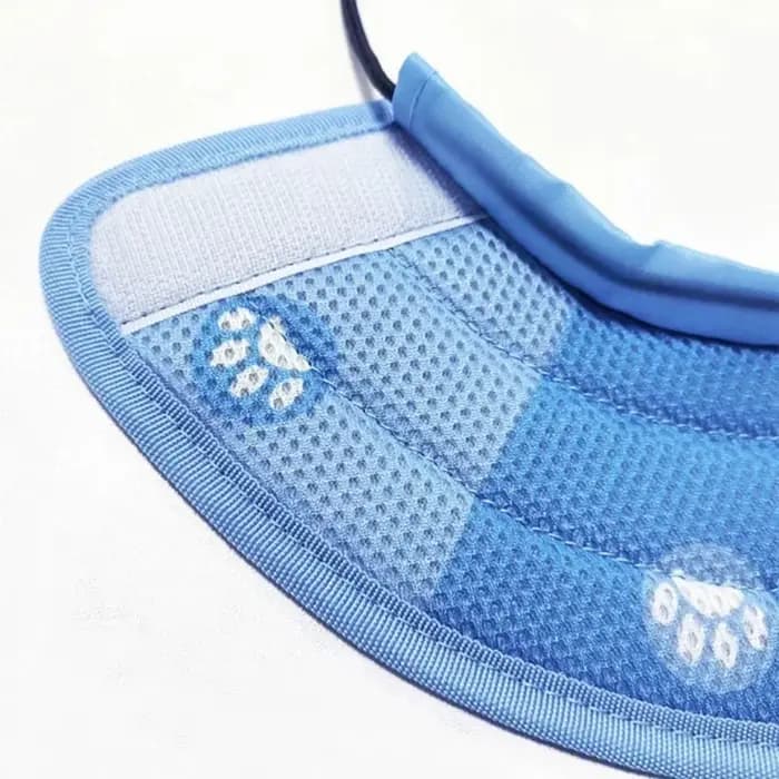 Collier de protection réglable anti-morsure pour chat