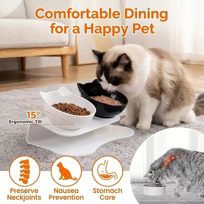15 ° Bols pour chats inclinés et surélevés