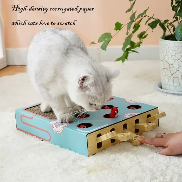 Boîte de jeu 3 en 1 pour chat : Jouet interactif Whack-a-Mole
