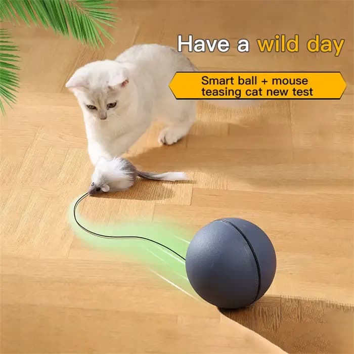 Balle jouet interactive pour chat «à piles » avec souris de suivi - Teaser roulant automatique pour toutes les races