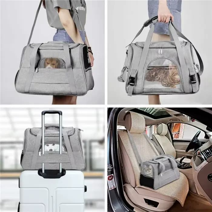 Boîte de transport pour chat-boîte