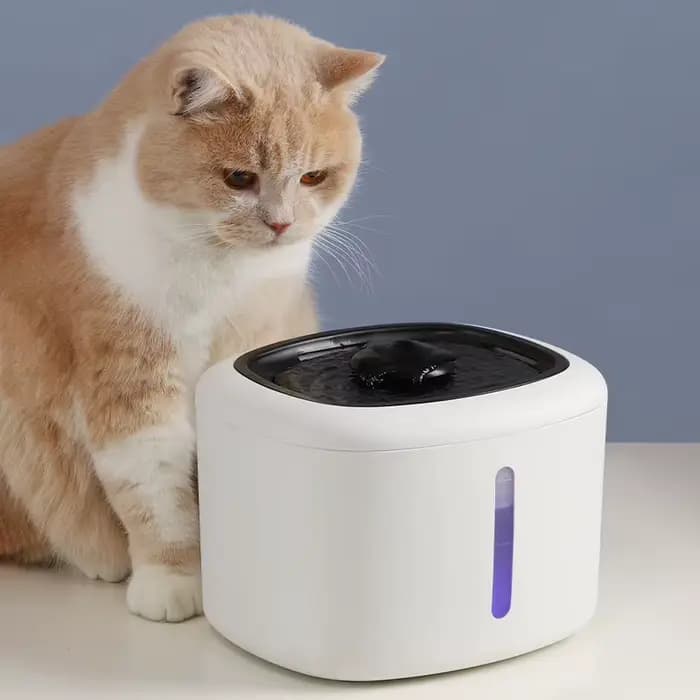 Fontaine d'eau pour chat, filtres distributrices d'eau pour chien et chat