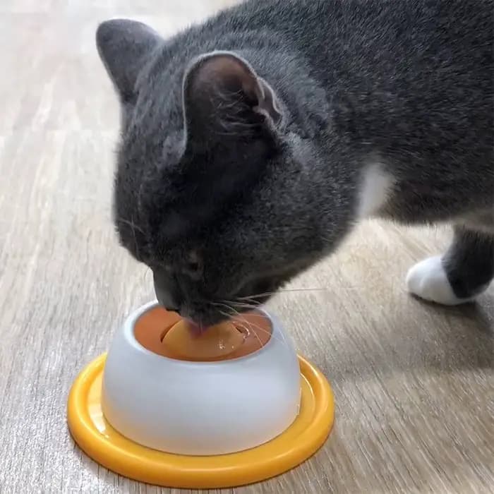 Nouveau yaourt assiette à lécher anti-pill chat taquin alimentation lente bol de collation interactif résistant aux